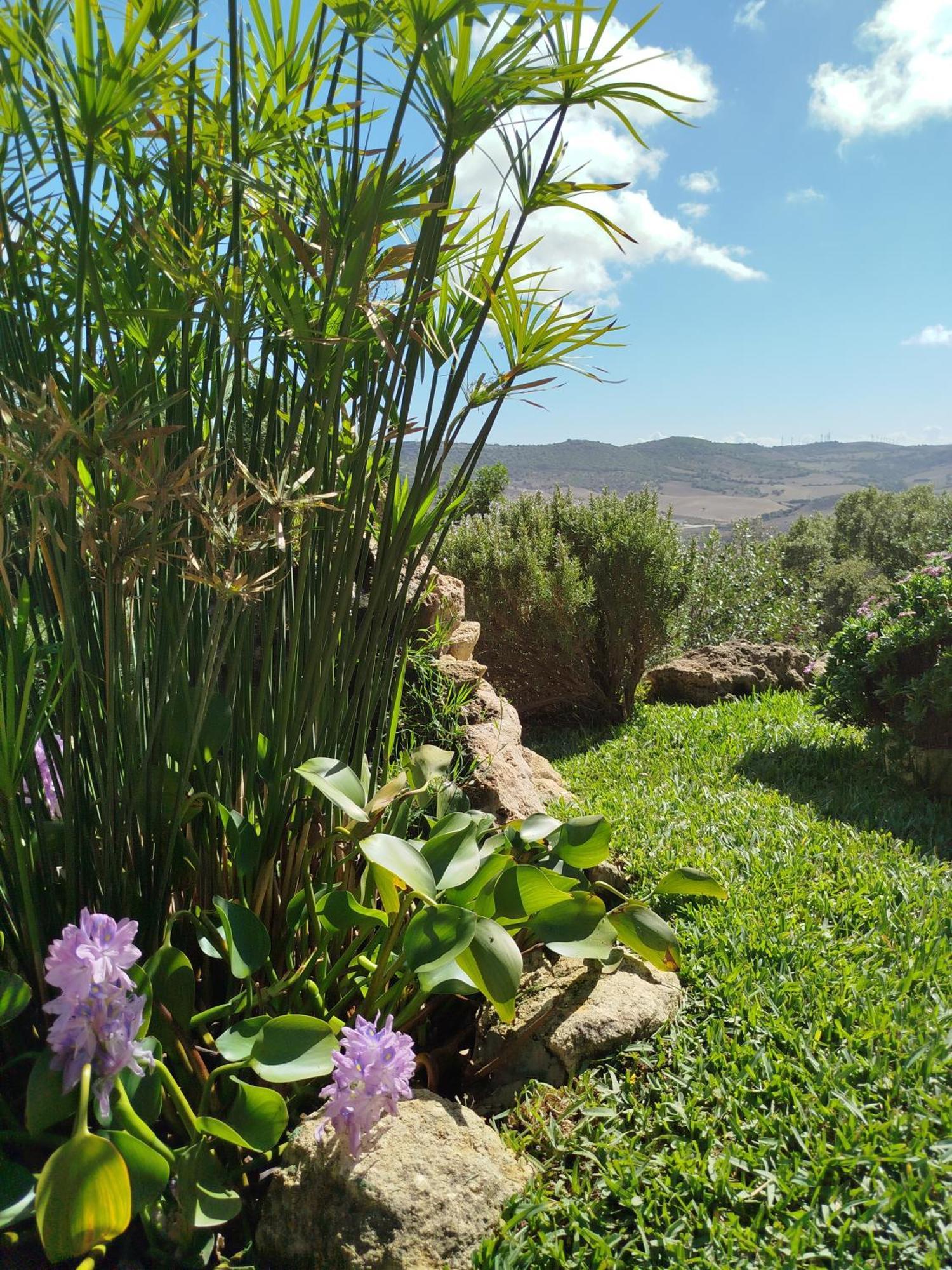 וחר דה לה פרונטרה Casa Montecote Eco Resort מראה חיצוני תמונה