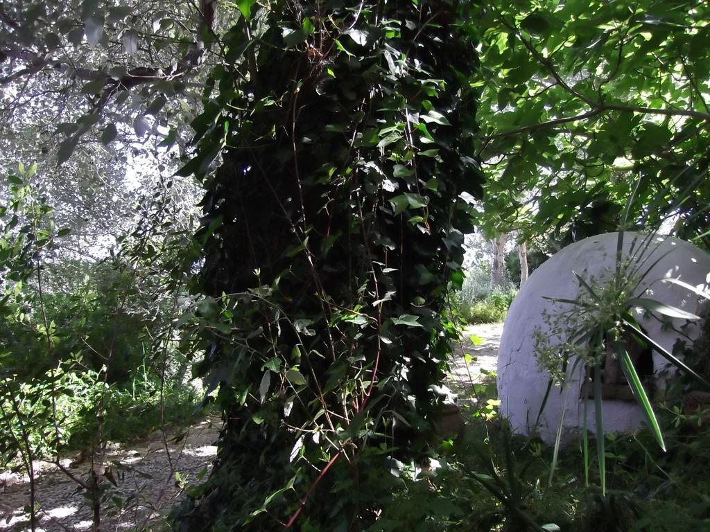וחר דה לה פרונטרה Casa Montecote Eco Resort מראה חיצוני תמונה